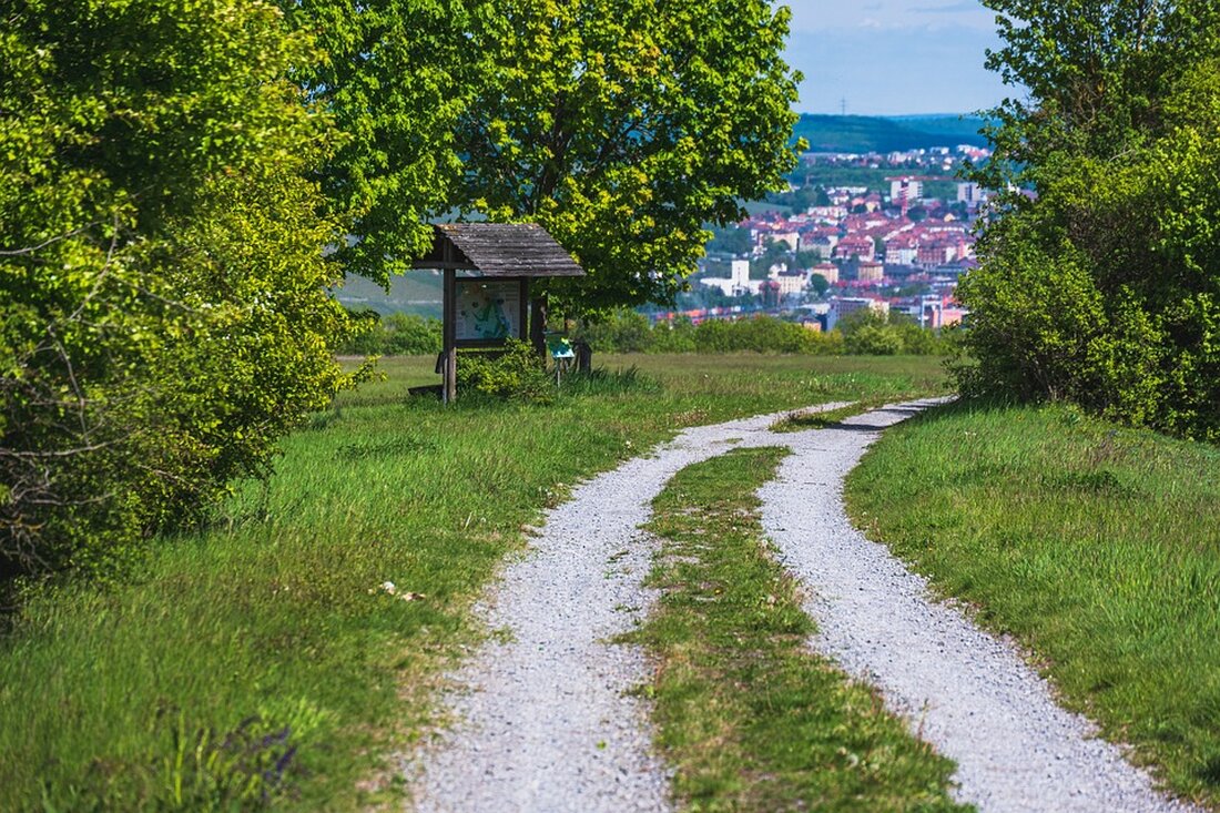 Gemäß einem Bericht von amp2.wiwo.de, prognostiziert die OECD, dass die Haushaltssperre in Deutschland weitreichende Auswirkungen auf die Wirtschaft in ganz Europa haben wird. Die Unsicherheit über die zukünftige Fiskalpolitik beeinflusst bereits jetzt das Investitionsverhalten der Unternehmen und das Konsumverhalten der Haushalte. Das Bundesverfassungsgericht hat entschieden, dass 60 Milliarden Euro im Haushalt 2021 nicht nachträglich für Investitionen in Klimaschutz und die Modernisierung der Wirtschaft umgewidmet werden dürfen. Die OECD plädiert für eine Reform der Schuldenbremse, um mehr Flexibilität für Investitionen zu schaffen und schlägt vor, regressive und umweltschädliche Steuervergünstigungen abzubauen. Als Finanzexperte ist es wichtig, die potenziellen Auswirkungen einer solchen Haushaltssperre &hellip;