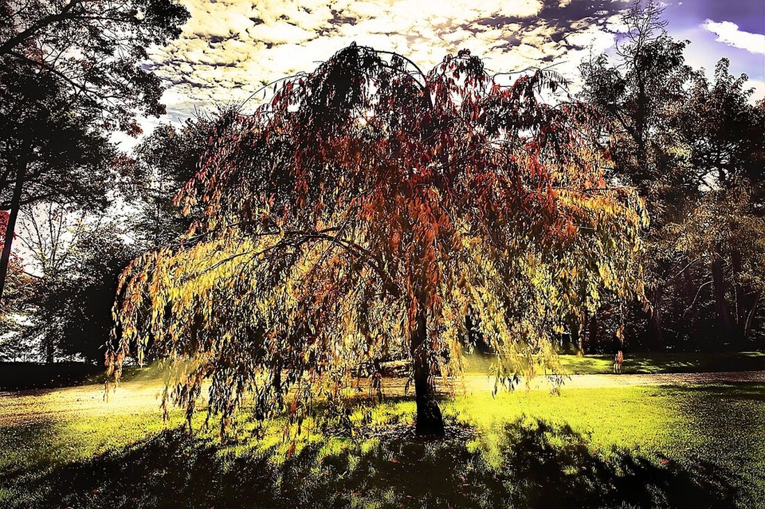 Gemäß einem Bericht von www.cmcmarkets.com, steht die US-Präsidentschaftswahl 2024 bevor, und die Auswirkungen auf die Wirtschaft und den Aktienmarkt könnten erheblich sein. Seit 1856 fiel das Wahljahr ganz oder teilweise mit einer wirtschaftlichen Rezession zusammen. In 87,5% dieser Fälle verlor die regierende Partei die Macht. Wenn die Wirtschaft in einer Rezession steckt, ist es sehr wahrscheinlich, dass die regierende Partei die Macht verliert und umgekehrt, wenn die Wirtschaft expandiert. Die Aktienmärkte sind ebenfalls von der Wahlzyklus und dem Wirtschaftszyklus betroffen. Vor Wahlen gab es durchschnittliche Gewinne von 13,5% und 78,3% der Zeit im Positiven, während die zwei Jahre nach den &hellip;