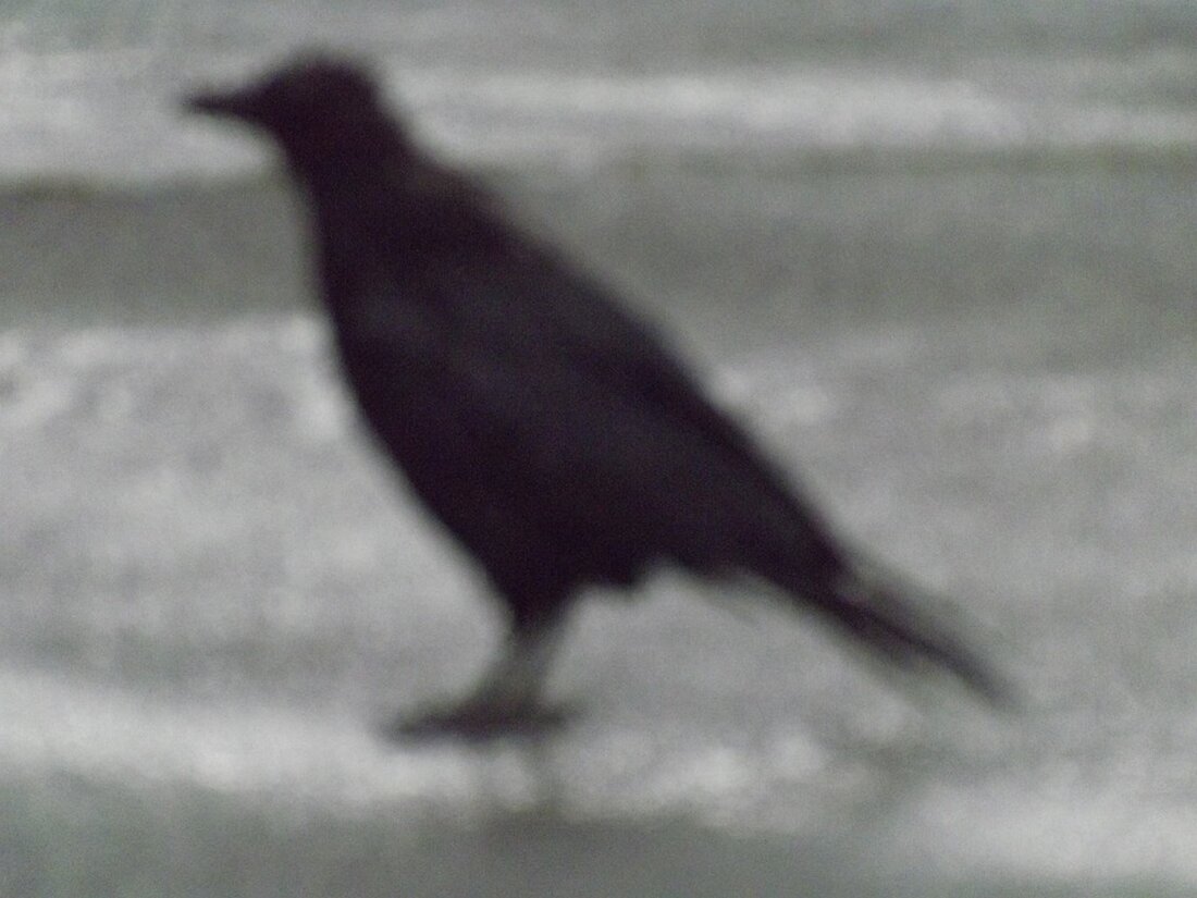 Gemäß einem Bericht von www.weser-kurier.de, Die winterlichen Straßenverhältnisse können zu Blechschäden führen, die von der Kfz-Haftpflichtversicherung abgedeckt werden. Wenn man jedoch eine Vollkaskoversicherung hat, ist es wahrscheinlich, dass man in eine ungünstigere Schadenfreiheitsklasse (SF-Klasse) zurückgestuft wird, was zu einer Erhöhung der Versicherungsprämie führen kann. Dies geschieht unabhängig von der Höhe des Schadens und unabhängig davon, ob man einen Selbstbehalt vereinbart hatte. Um diesem Szenario entgegenzuwirken, empfiehlt die Verbraucherzentrale NRW verschiedene Maßnahmen. Dazu gehört die Option, den Schaden aus eigener Tasche zu zahlen, den Schaden zurückzukaufen oder einen Rabattschutz abzuschließen. Diese Entwicklungen in der Kfz-Versicherungsbranche können verschiedene Auswirkungen haben. Die Rückstufung …