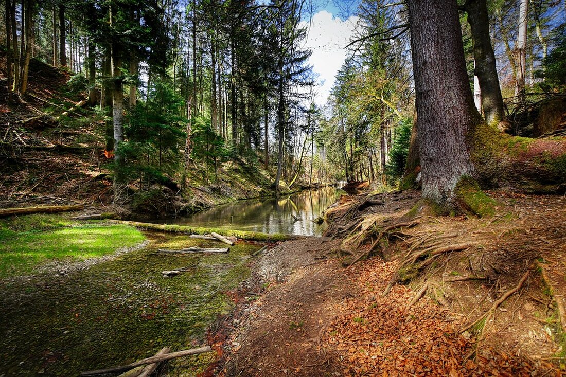 Gemäß einem Bericht von www.aktienwelt360.de, Die Aktien von Novozymes und NextEra Energy haben potenziell viel Aufholpotenzial, obwohl sie im Laufe des Jahres stark an Wert verloren haben. Novozymes, der weltweit größte Enzymhersteller, verzeichnete zuletzt ein Rekordergebnis, erwirtschaftete allerdings noch weit weniger als im Vorjahr. Der geplante Zusammenschluss mit Chr. Hansen hat zu einem Rückgang des Aktienkurses geführt, doch das Unternehmen erwartet bereits 2024 und 2025 neue Bestmarken bei Umsatz und Nettoergebnis. Die Akquisition dürfte die Märkte beruhigen und das Wachstum des Unternehmens weiter vorantreiben. NextEra Energy, ein amerikanischer Energieversorger, hat ebenfalls deutlich an Wert verloren, obwohl das Unternehmen weiterhin positive …