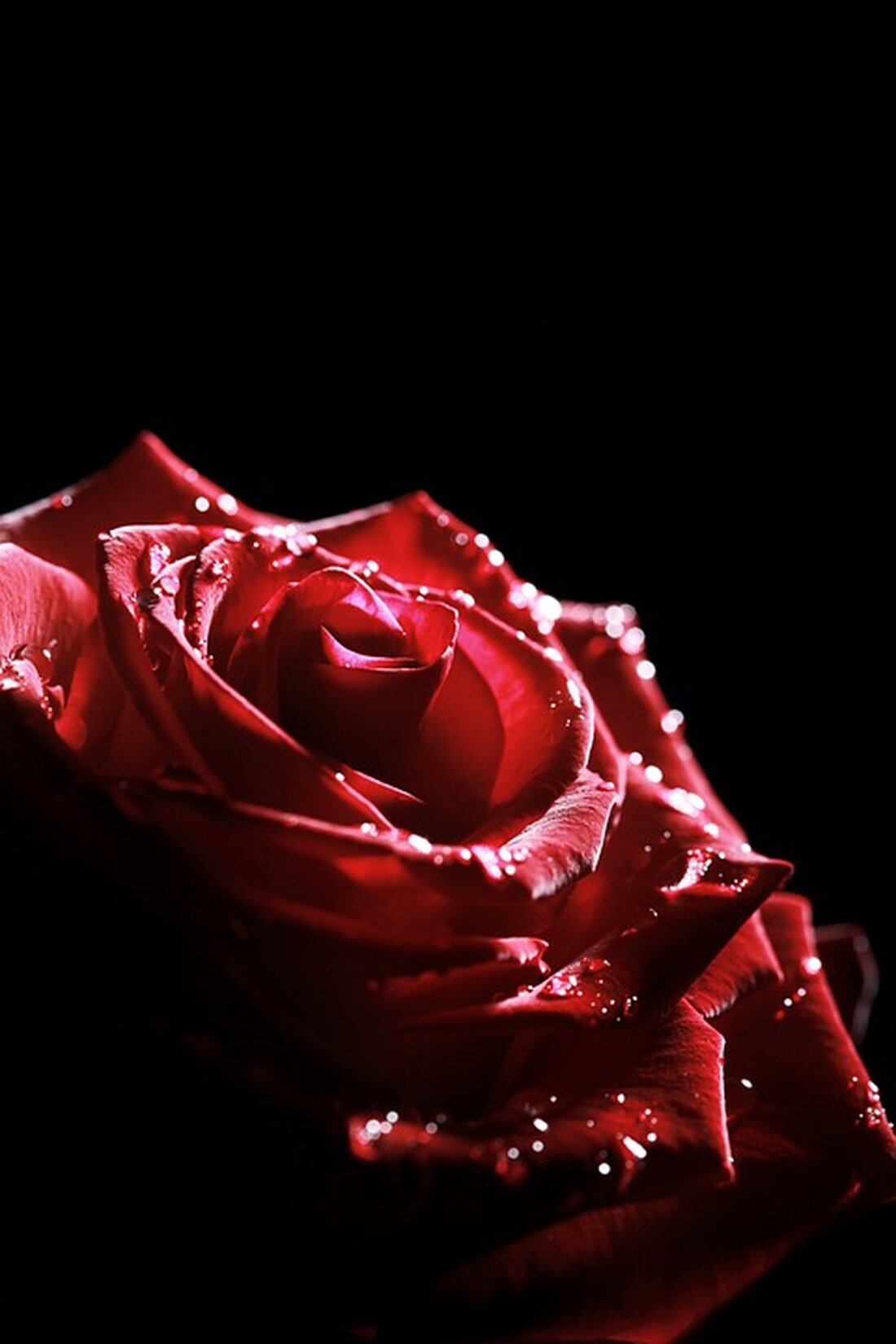 Gemäß einem Bericht von www.t-online.de, blockiert Italien die geplante Reform des Rettungsfonds ESM für die 20 Mitgliedsländer der Euro-Zone. Mit den Stimmen des rechten Regierungslagers von Ministerpräsidentin Giorgia Meloni lehnte die Abgeordnetenkammer in Rom eine Ratifizierung der Pläne ab. Die Ablehnung bedeutet, dass die Reform voraussichtlich nicht wie geplant zu Beginn des neuen Jahres in Kraft treten wird. Dies hat vor allem Auswirkungen auf den Abwicklungsfonds SRF (Single Resolution Fund), der von den Banken finanziert wird, um im Falle einer großen Bankenkrise einspringen zu können. Die Ablehnung der geplanten Reform des ESM und somit des Backstops für den SRF bedeutet, &hellip;