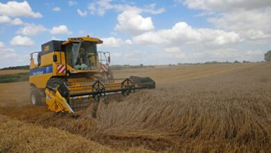 A French farmer harvests wheat in Honnecourt-sur-Escaut