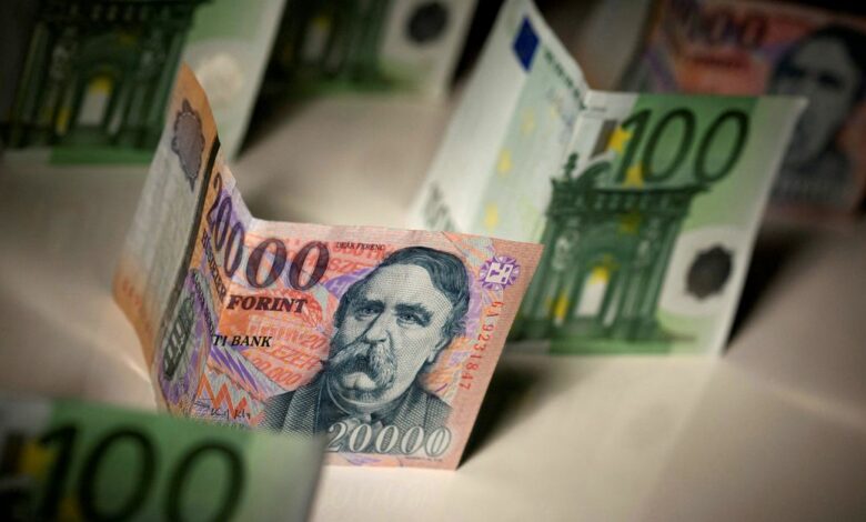 Hungarian forint and Euro notes are seen in this photo illustration taken in Budapest