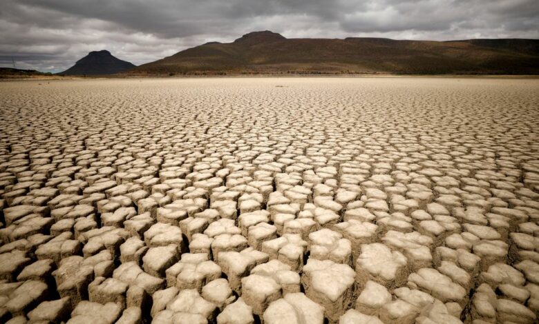Clouds gather but produce no rain as cracks are seen in the dried up municipal dam in drought-stricken Graaff-Reinet