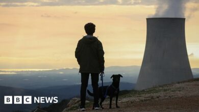 A boy with his dog visits 'Delle Biancane' park of the geothermal power plant of Monterotondo Marittimo in Tuscany on February 13, 2022 in Monterotondo Marittimo - Grosseto, Italy.