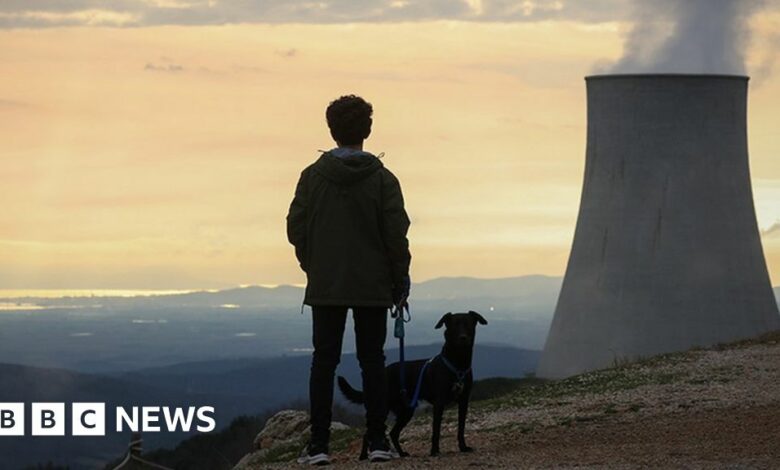 A boy with his dog visits 'Delle Biancane' park of the geothermal power plant of Monterotondo Marittimo in Tuscany on February 13, 2022 in Monterotondo Marittimo - Grosseto, Italy.