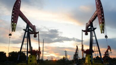 Pumpjacks are seen during sunset at the Daqing oil field in Heilongjiang
