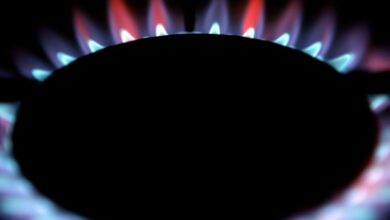 Gas burns from a ring on a domestic cooker