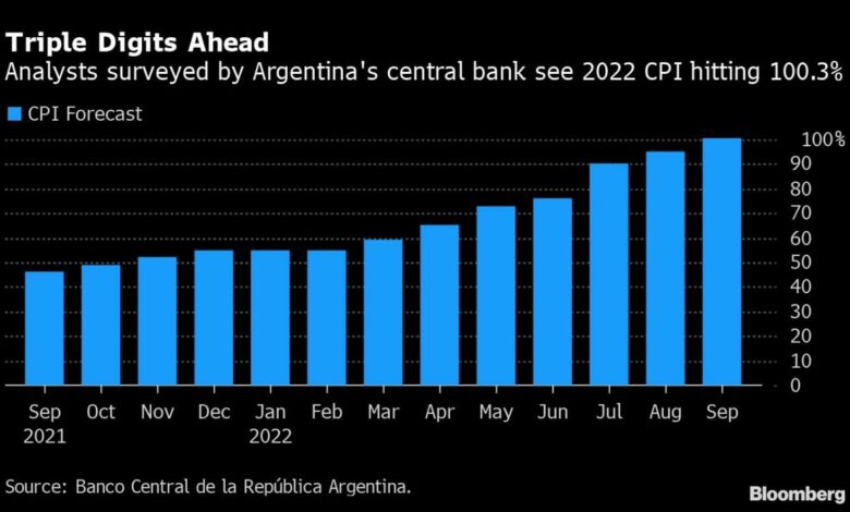 Ökonomen gehen davon aus, dass die Inflation in Argentinien bis Dezember 100 % überschreiten wird