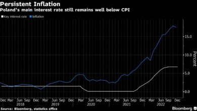 Polen soll die Zinsen bei anhaltender Inflation stabil halten: Entscheidungshilfe