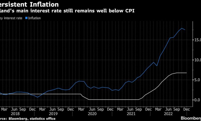 Polen soll die Zinsen bei anhaltender Inflation stabil halten: Entscheidungshilfe