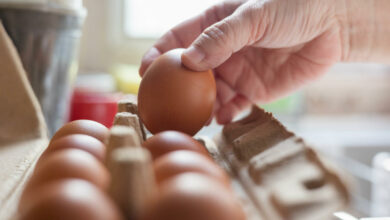 Eierpreise sind im Vergleich zum Vorjahr um 70 % gestiegen