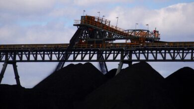 FILE PHOTO: Coal is unloaded onto large piles at the Ulan Coal mines near the central New South Wales town of Mudgee, Australia