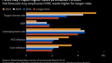 Die Fed wird in einer Economist-Umfrage voraussichtlich nächste Woche die Zinsen um einen Viertelpunkt anheben