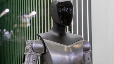 Elon Musk sagt, dass KI-„humanoide Roboter“ irgendwann den Menschen zahlenmäßig überlegen sein werden: „Es ist nicht einmal klar, was zu diesem Zeitpunkt eine Wirtschaft bedeutet.“