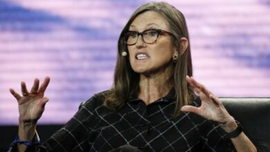 "Es ist wie ein Erdbeben": Cathie Wood macht die aggressiven Zinserhöhungen der Fed für die schlechte Performance ihrer Fonds verantwortlich