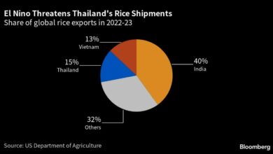 El Nino könnte die Reisernte in Thailand verringern und die Inflation in ganz Asien ankurbeln