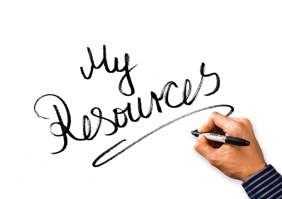 Die Grundlagen der Steuerpolitik