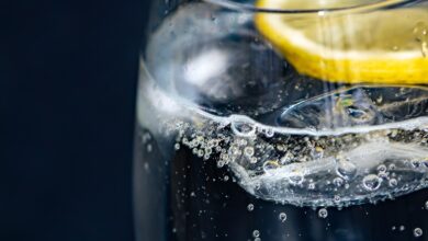 Gin 101: Was ist Gin und wie unterscheidet er sich von anderen Spirituosen?