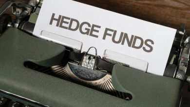 Hedgefonds: Strategien und Kontroversen