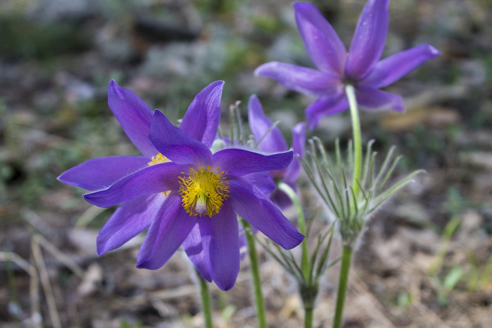 Hexenschuss: Ursachen, Symptome und Behandlung – Alles, was Sie darüber wissen müssen