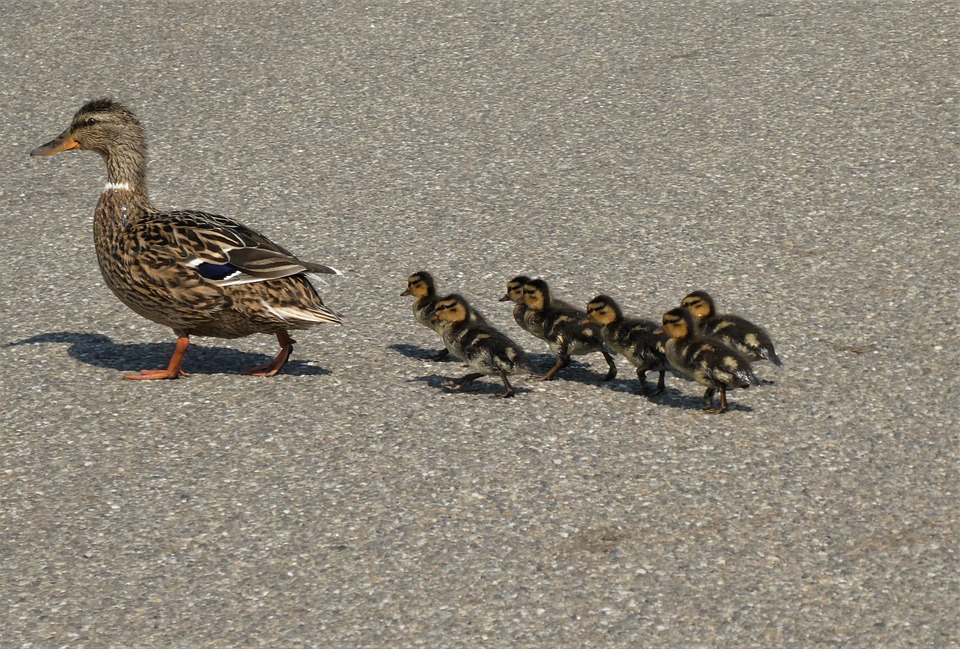 OnlyFans erklärt: Was ist OnlyFans und wie funktioniert die Plattform?