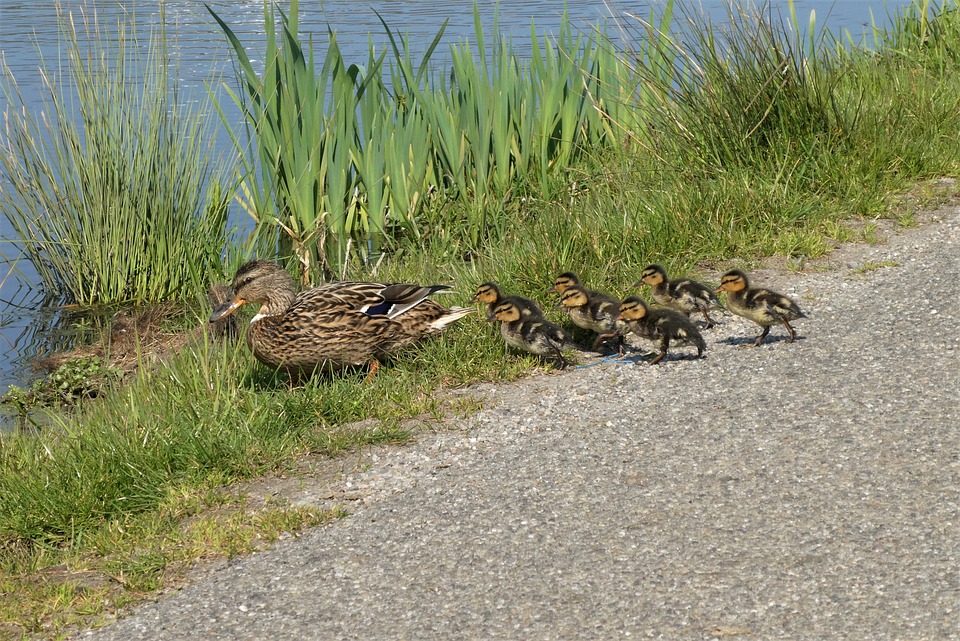 Pansexualität erklärt: Was bedeutet pansexuell und wie unterscheidet es sich von anderen sexuellen Orientierungen?