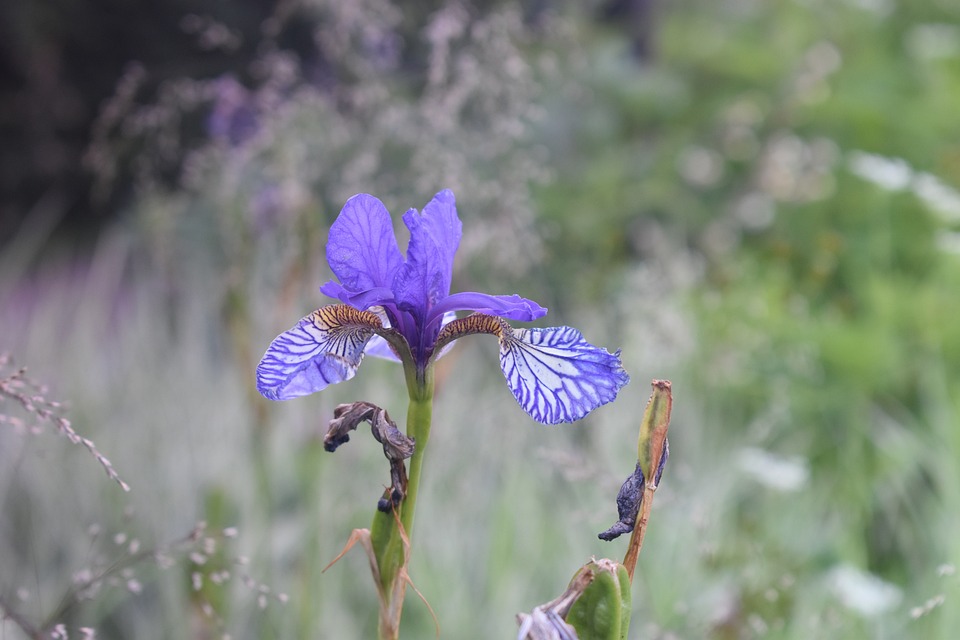 Reddit enthüllt: Die ultimative Einführung in die beliebte Social News Site!