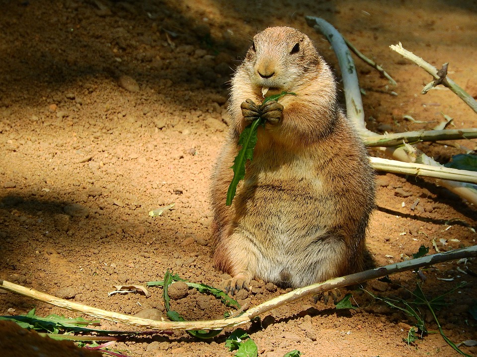 Was ist ein Nomen? Die Grundlagen der deutschen Grammatik erklärt und verständlich gemacht