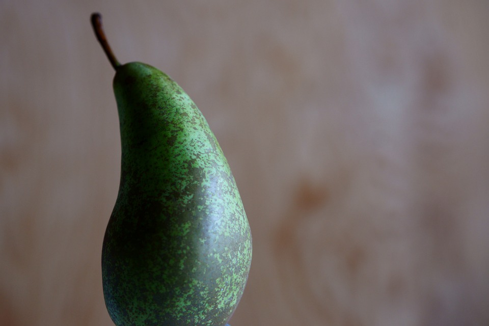 Wirtschaftssanktionen: Zweck und Auswirkungen