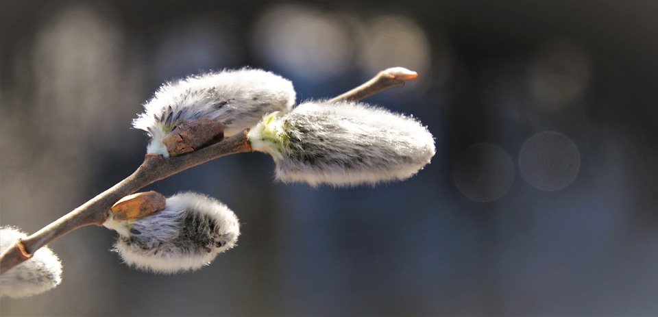 Keine Anzeichen für echten Aufschwung laut DIHK: Finanzexperte warnt vor wirtschaftlichem Abschwung
