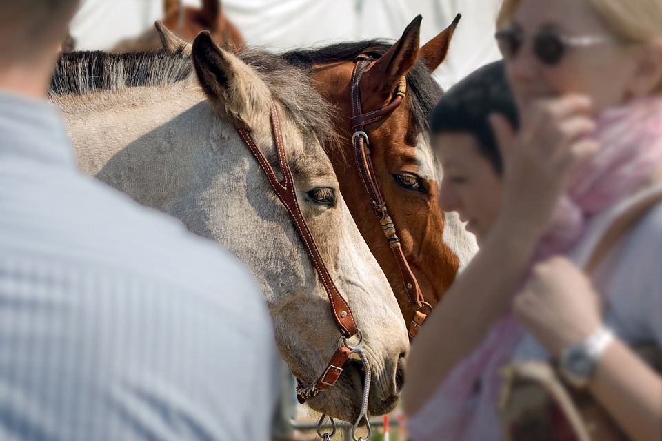 Versicherungsabschlüsse: Warum Ehrlichkeit wichtig ist – Tipps von einem Finanzexperten