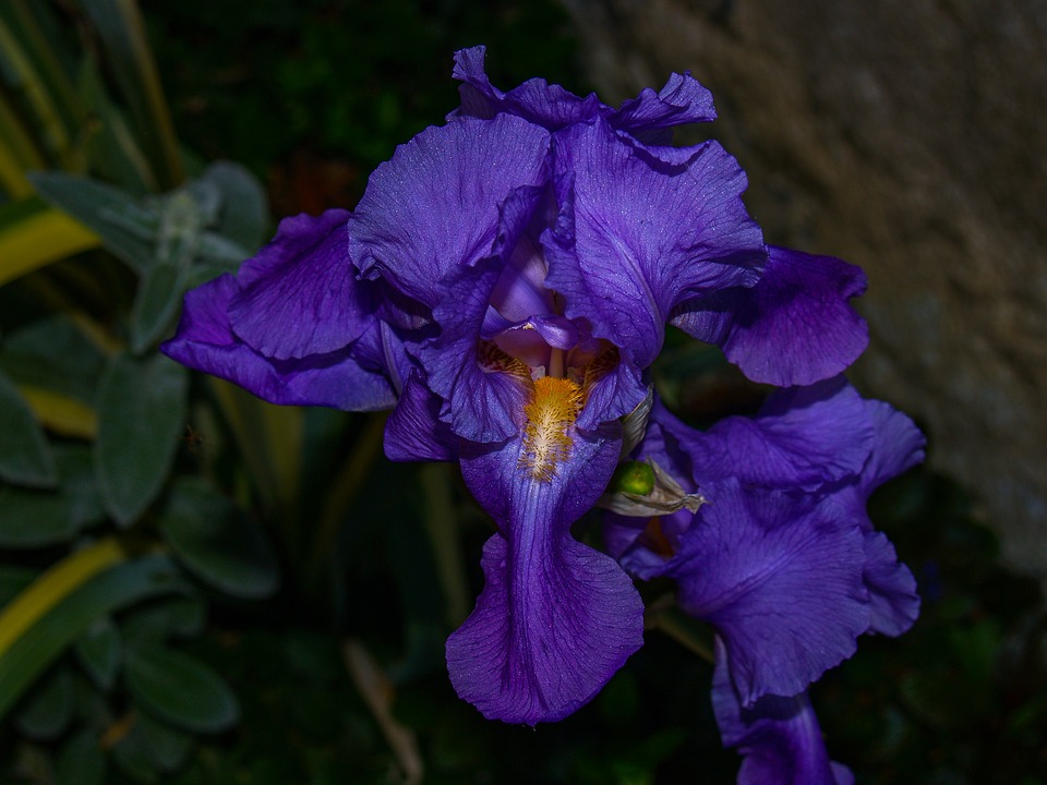 US-Finanzexperte analysiert die wirtschaftliche Auswirkung von Bidens erneuter Präsidentschaftskandidatur mit Bidenomics.