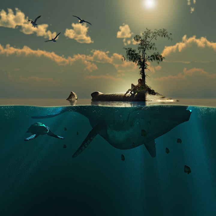 Sinnvolle Haustierversicherung? Kosten und Leistungen im Vergleich – Finanzexperte gibt Einschätzung