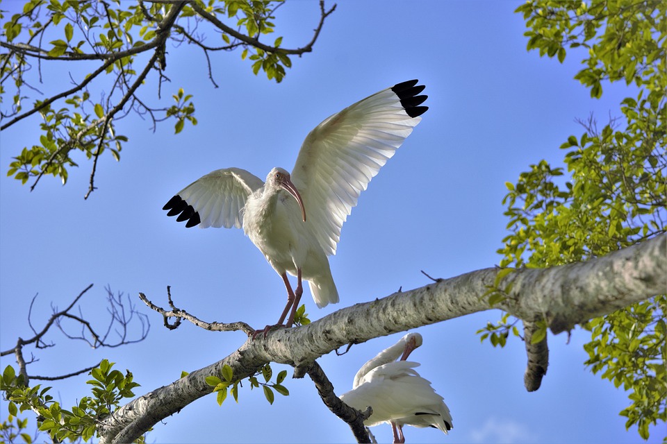 Tipps zum Kfz-Versicherungswechsel vor dem Stichtag am 30. November – Was Autofahrer beachten sollten © Jennifer Garic