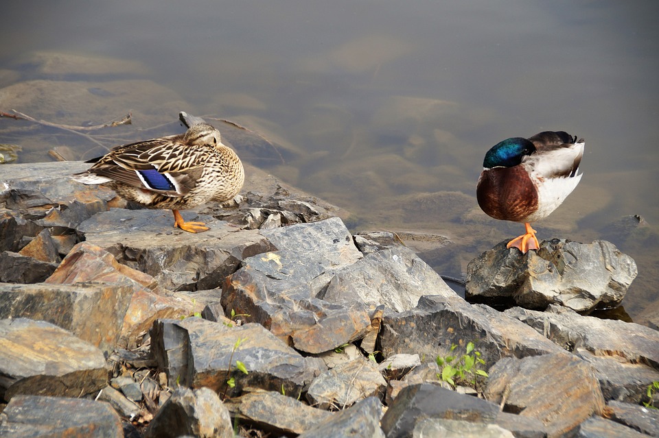 Lohnt sich AppleCare+ für hochpreisige Apple-Modelle wie iPhones und Mac-Geräte? Erfahren Sie hier, ob der erweiterte Schutz lohnenswert ist.
