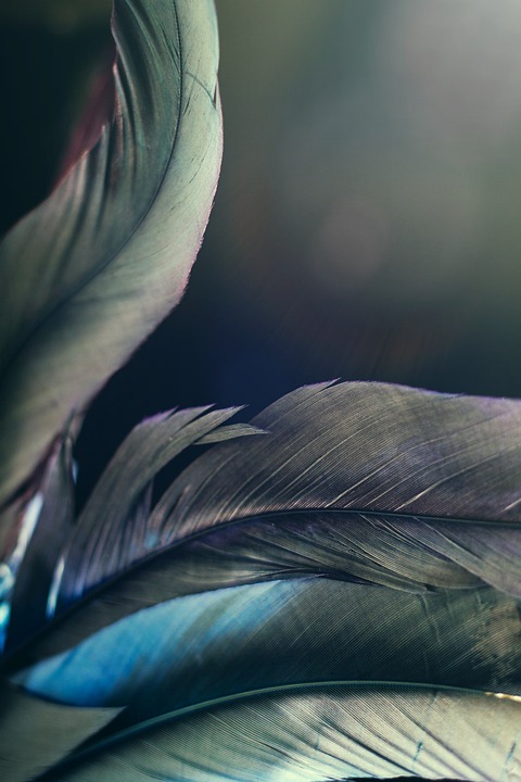 Krankenversicherungspflicht für Katar-Reisende: Neue Regelungen ab sofort – Kosten und Leistungen im Überblick