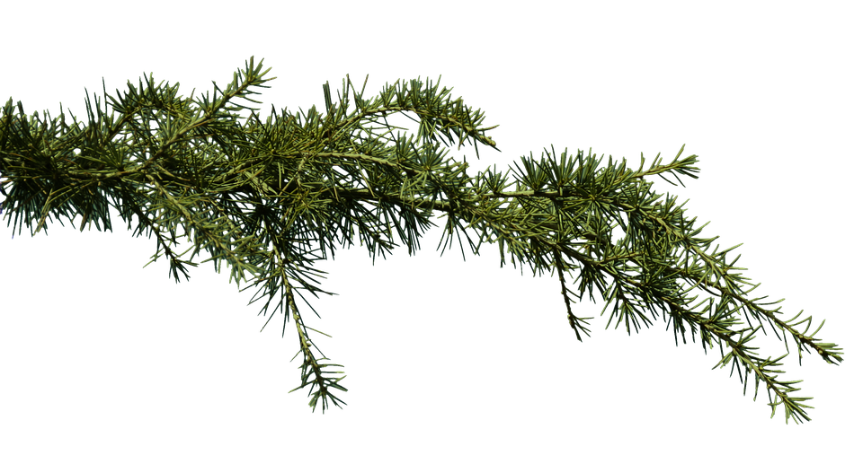 Plug Power: Finanzexperte senkt Kursziel nach enttäuschendem Quartalsbericht. Anleger bleiben skeptisch.