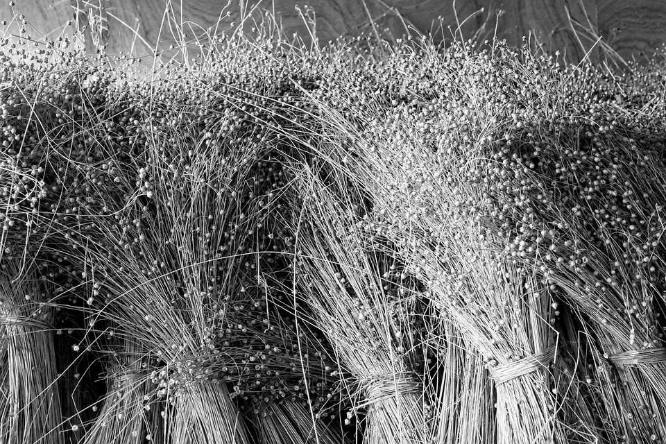 Alibaba-Aktie: Börsengänge verschoben – Finanzexperte analysiert Auswirkungen