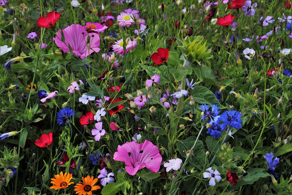 BASF-Aktie: Aufwärtsbewegung nach vorherigen Verlusten – Fortsetzung der Gewinne in Sicht?