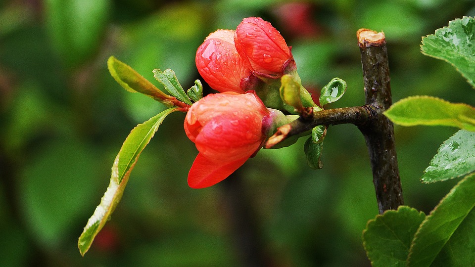 DAX zeigt sich freundlich nach US-Jobdaten – Finanzexperte analysiert Marktentwicklung