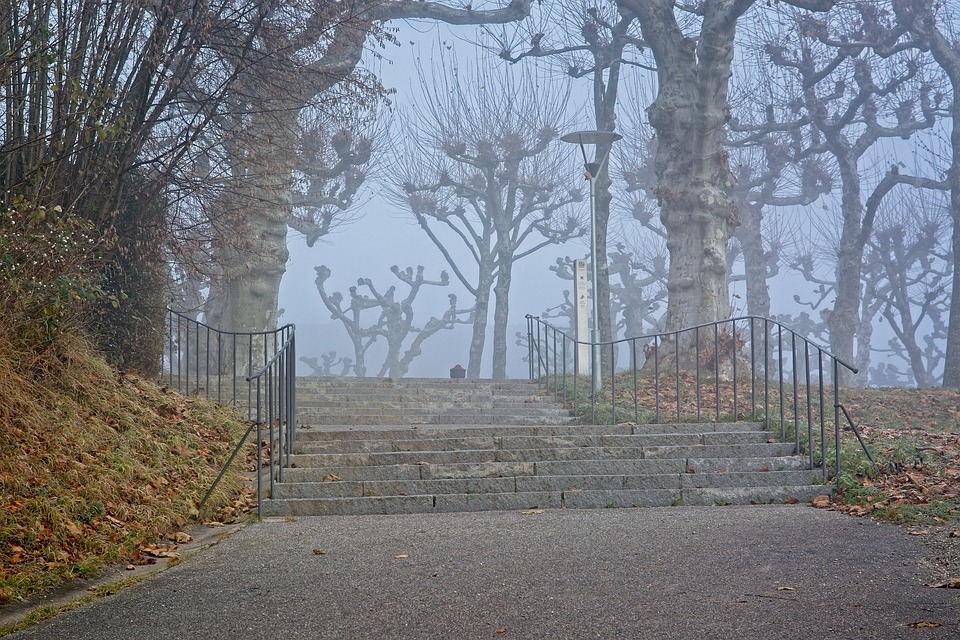 Wie der Anstieg der Insolvenzen im Baugewerbe die Finanzwelt beeinflusst und was Experten dazu sagen