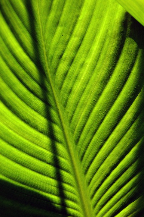 Lohnt sich ein Einstieg bei Cisco nach dem Kurseinbruch? Experten sehen Potenzial trotz des schwachen Ausblicks.