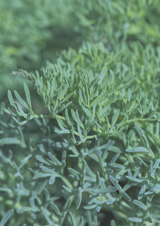 Geldstrafe für E-Scooter ohne Versicherungskennzeichen – Finanzexperte warnt vor finanziellen Risiken