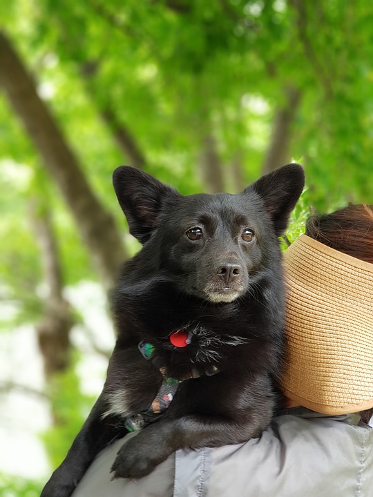 DAX Prognose: Historisch niedrige Volatilität und Widerstände – Finanzexperte gibt Ausblick