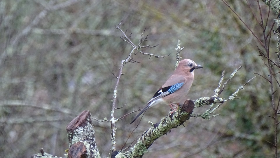 GEA Group-Aktie im Aufwind: Wertanstieg um 0,32 Prozent – Finanzexpertenanalyse