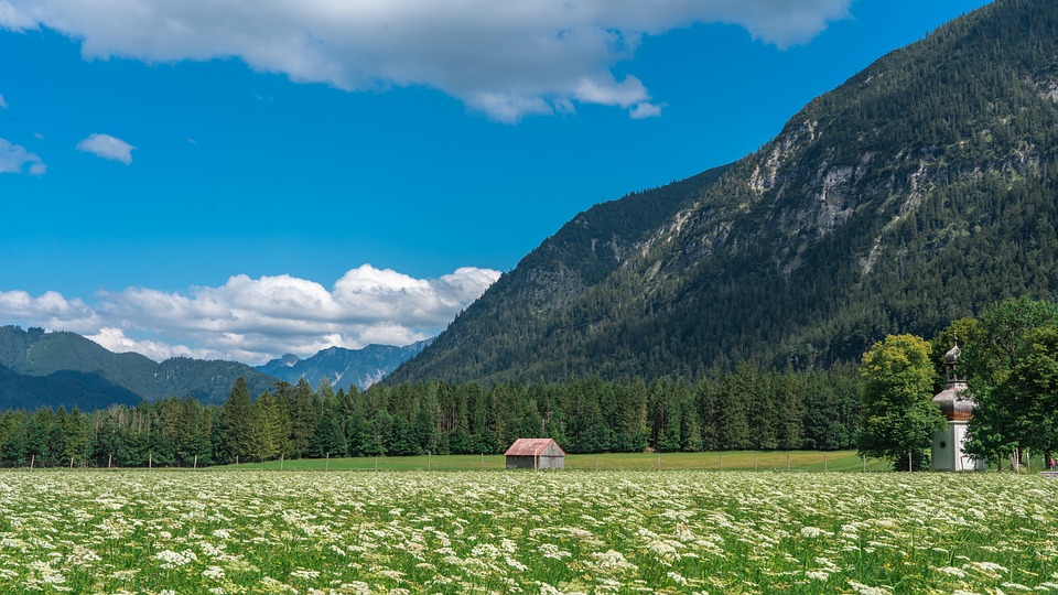 Finanzexperte analysiert Dax-Entwicklung und Kurssturz von Bayer & Morphosys