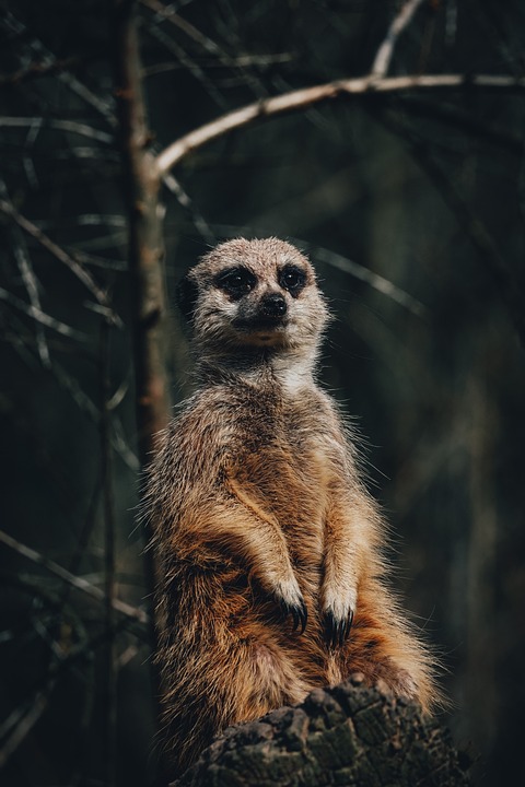 Immobilienkrise in Deutschland: Große Einbußen bei Kreditzusagen für Gewerbeimmobilien – das sagen die Experten.