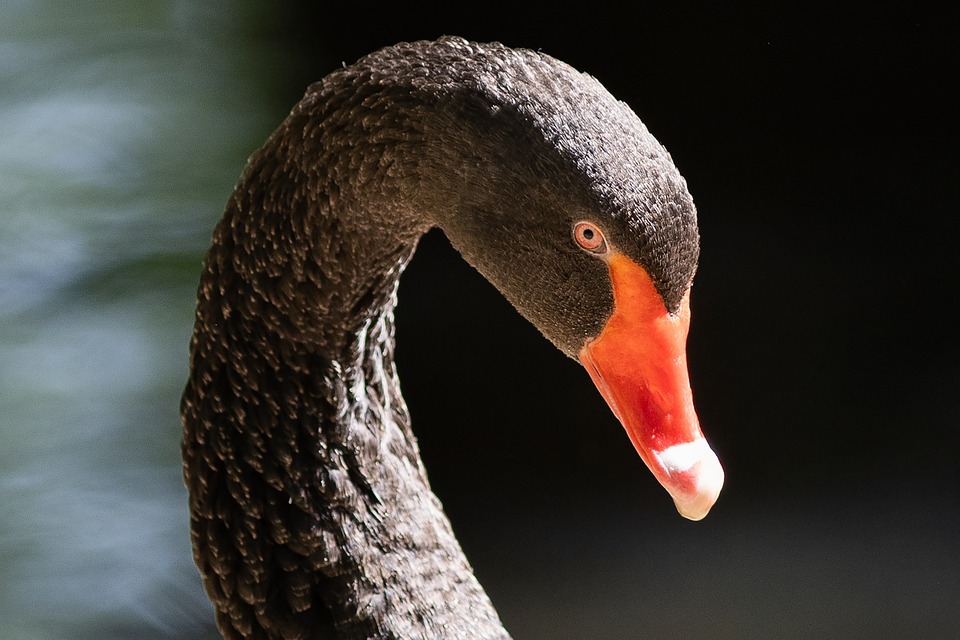 Schweiz: Probleme des Bankenplatzes mit internationaler Bedeutung – Blick auf die UBS und den Banken-Staaten-Nexus