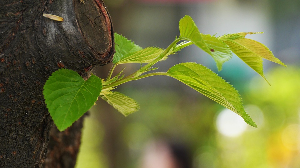 Wochenendrallye: DAX steigt dank positiver US-Konjunkturdaten